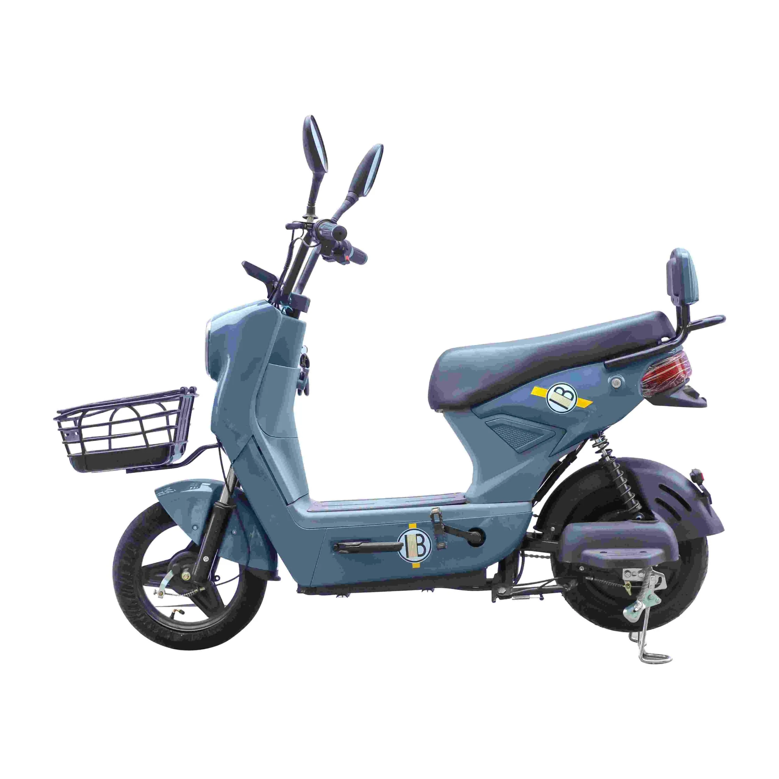 Electric Bike Exporter to USA