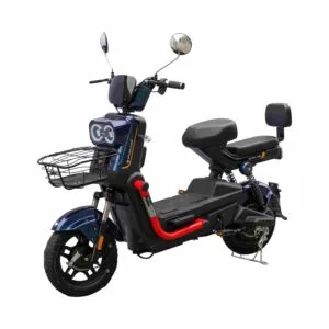 Best Electric Bicycle Factory in China