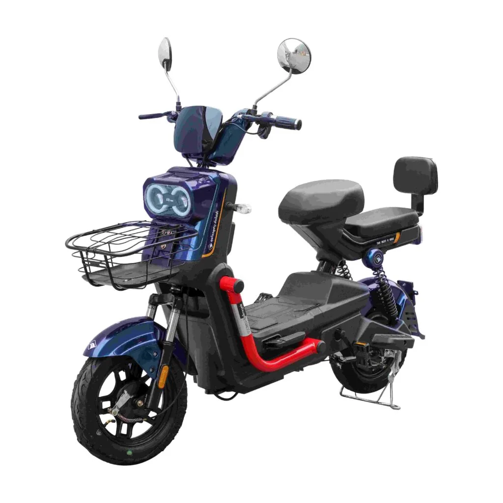 Top E-Bike Brands in China